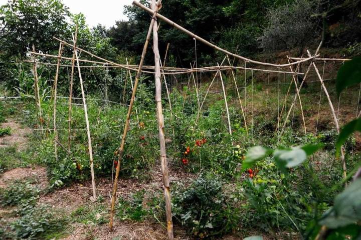 Location de vacances pour 3 personnes, avec terrasse ainsi que jardin et vue à Portofino - 3