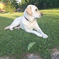 Ferienhaus für 4 Personen, mit Pool und Garten sowie Whirlpool und Sauna, mit Haustier in Europa - 3