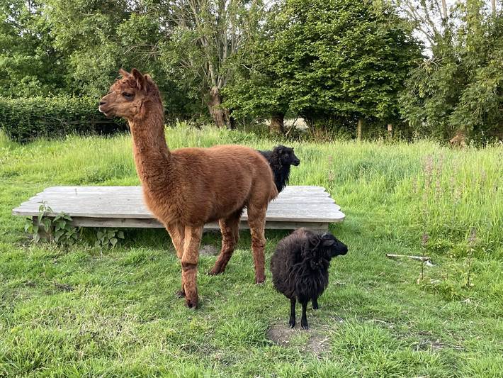 Chambre d’hôte pour 2 personnes, avec jardin