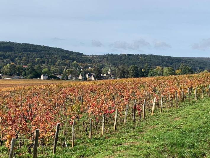Location de vacances pour 8 personnes, avec Terrasse et Vue dans Office De Tourisme De Savigny Sur Orge - 4