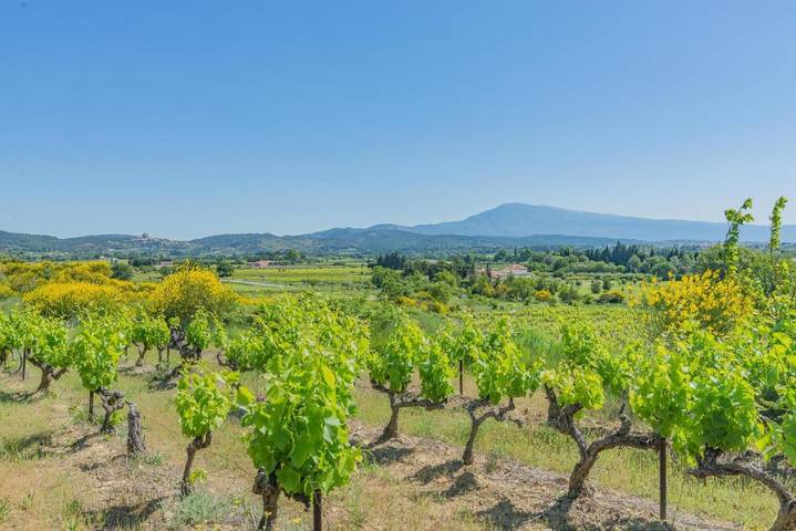 Location de vacances pour 9 personnes, avec jardin ainsi que piscine et jacuzzi à Beaumes-de-Venise - 4