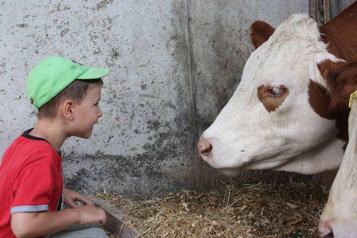 Bauernhof für 5 Personen, mit Garten, kinderfreundlich in Oberfranken - 3
