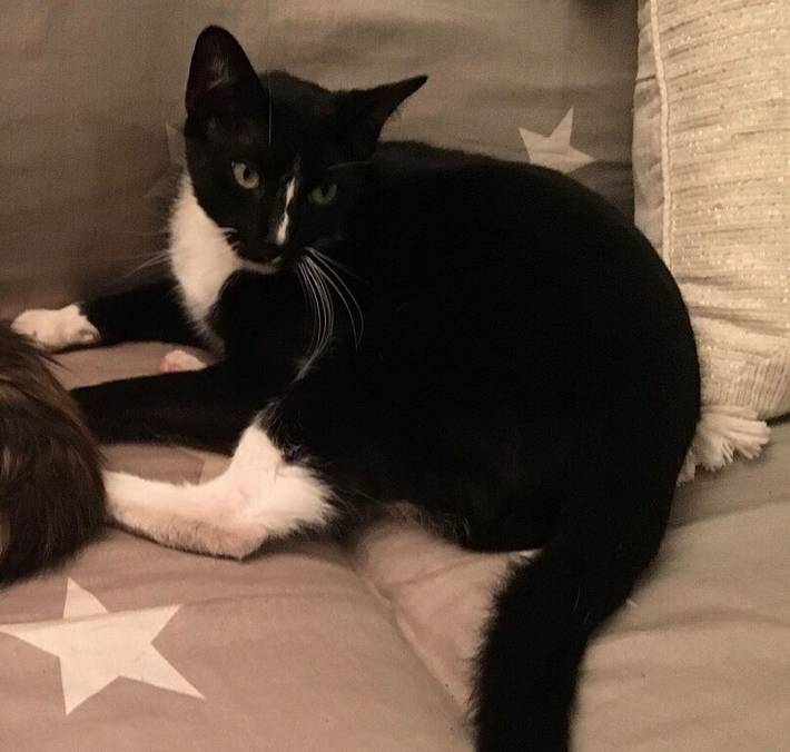 Vacation house for 4 people, with yard and hot tub in Santa Barbara