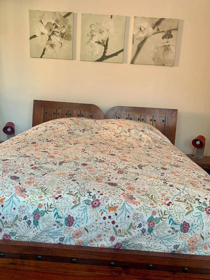 B&B bio new in Dieffenthal, Région de Sélestat-Erstein