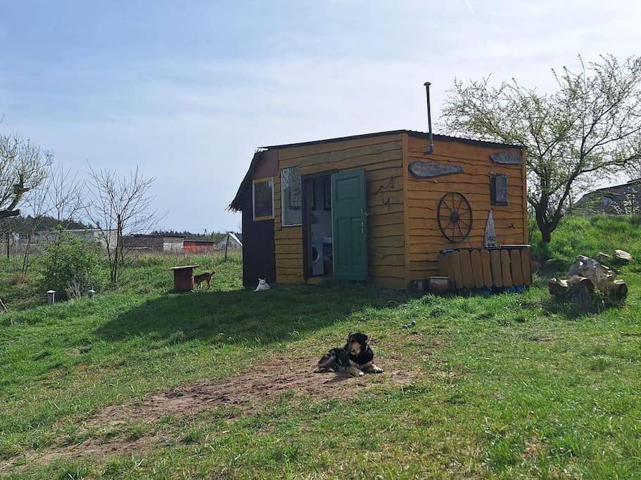Double Room with Garden View in Oderbruch