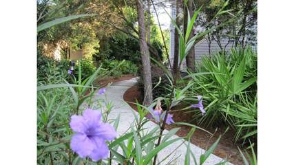 Cabin for 6 Guests in Miramar Beach, Emerald Coast, Picture 4