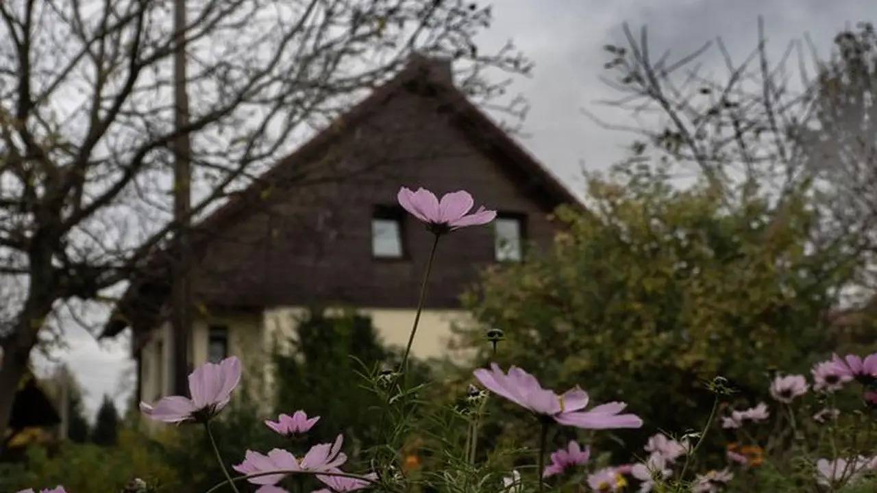Ferienhaus für 8 Personen (130 m²) in Bad Gottleuba in Bad Gottleuba-Berggießhübel, Elbsandsteingebirge