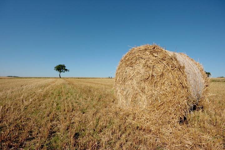 Ferienhaus für 2 Personen, kinderfreundlich im Sauerland - 2