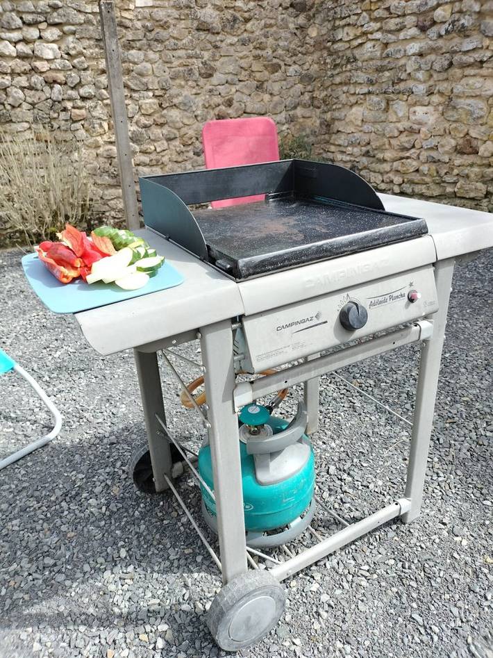 Gîte pour 4 personnes, avec terrasse, animaux acceptés dans Parc naturel régional de la Brenne - 4