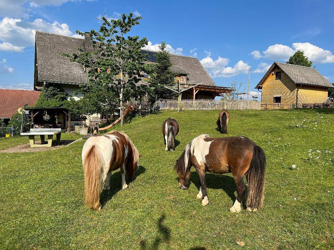 Ganze Wohnung, Ferienwohnung 3 mit gemeinsamer Terrasse, gemeinsamem Garten und Wlan in Bonndorf im Schwarzwald, Südschwarzwald
