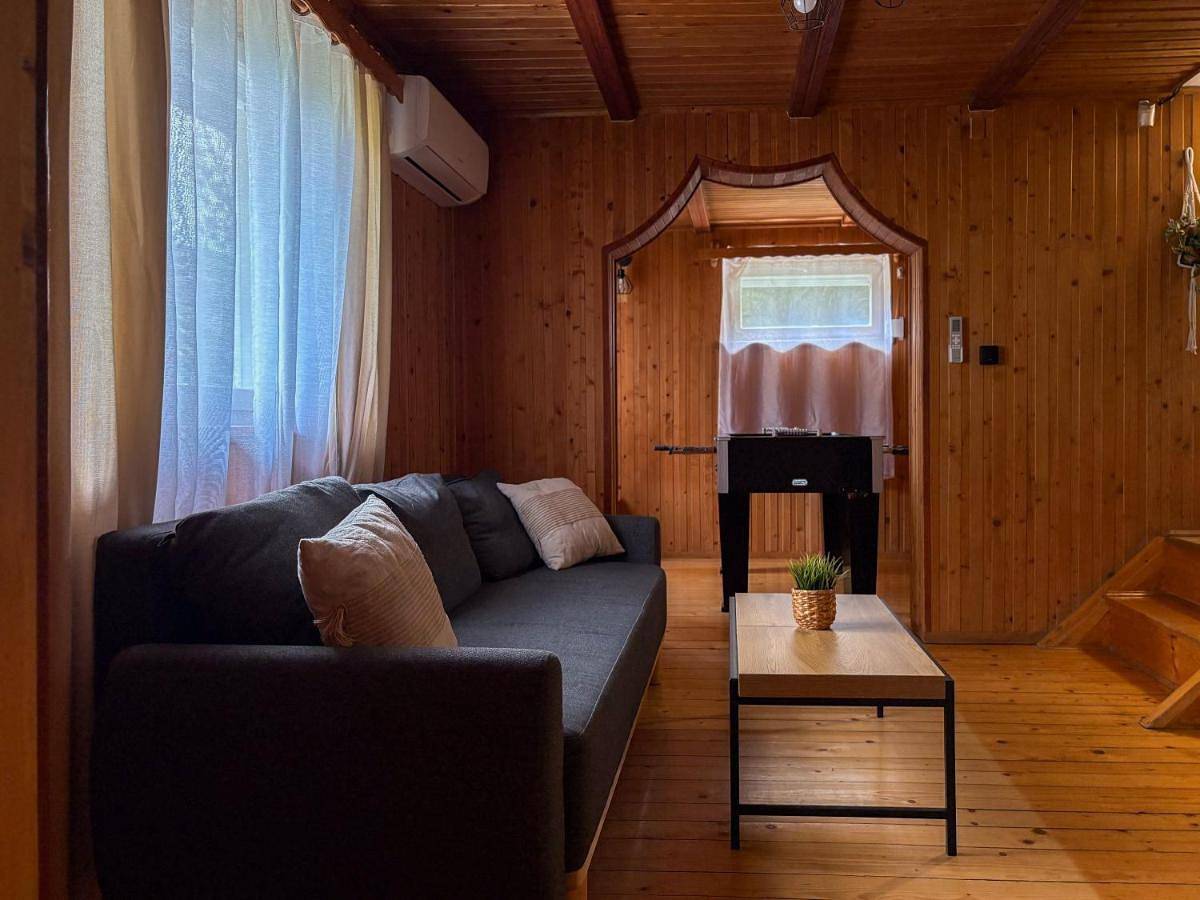 Four-Bedroom House in Porąbka, Śląsk