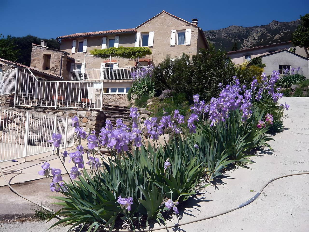 Maison de vacances « La Maison De Delphine » avec vue montagne, piscine privée et terrasse in Saint-Martin-de-l'Arçon, Région de Béziers