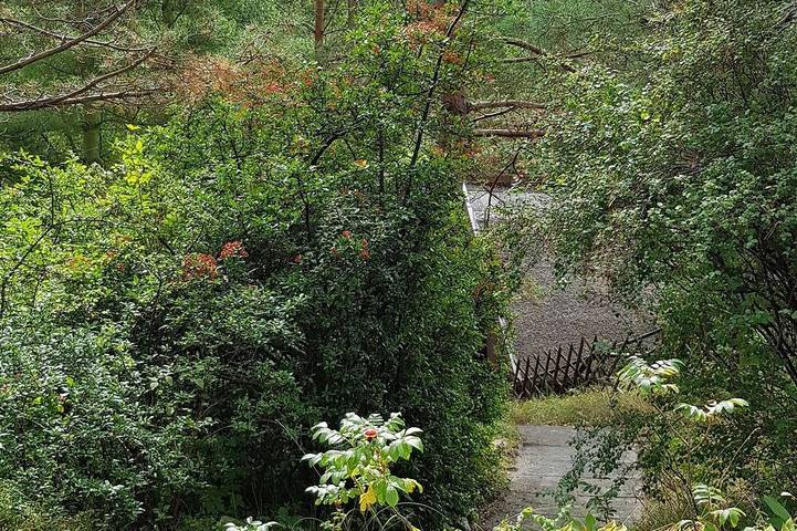 Gemütliches Ferienhaus auf Idyllischem Waldgrundstück, 100 m bis zur Ostsee in Zempin, Usedomer Norden