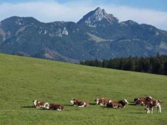 Ferienwohnung für 4 Personen, mit Balkon und Ausblick am Schliersee - 3