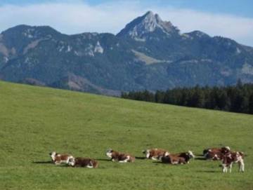 Ferienwohnung für 4 Personen in Schliersee, Bayerische Alpen, Bild 2