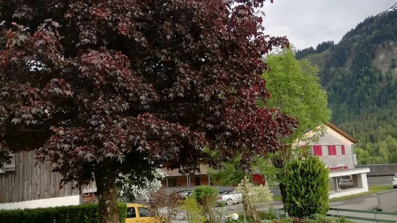 Ganze Ferienwohnung, Ferienwohnung für 2 Personen (27 m²) in Schoppernau in Diedamskopf, Schoppernau