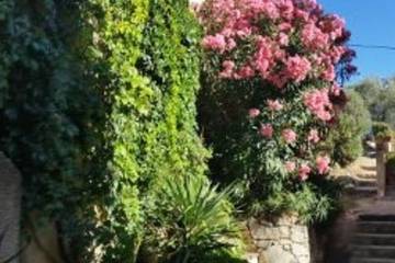 Gîte pour 4 Personnes dans Lama, Haute-Corse, Photo 4