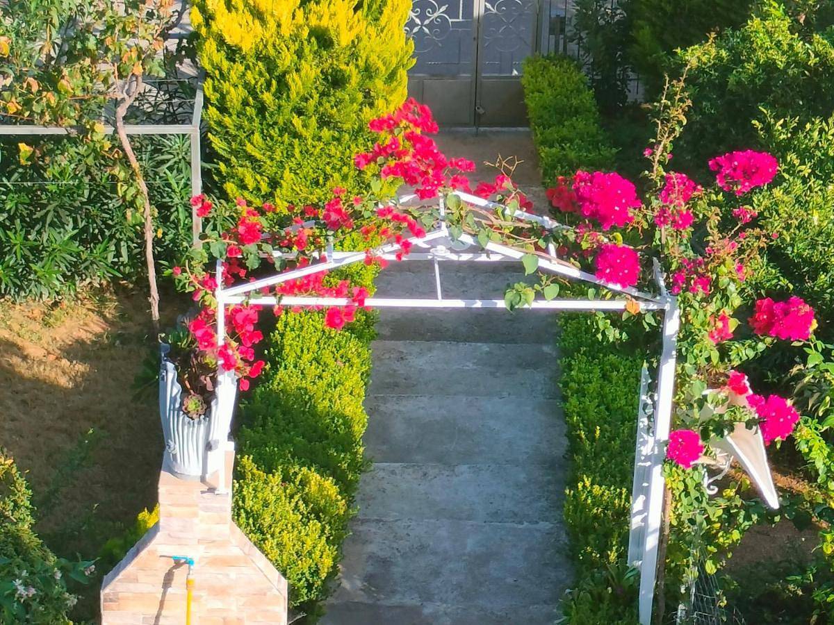 Ganze Wohnung, House with Wonderful View in Λευκαντί, Chalkida