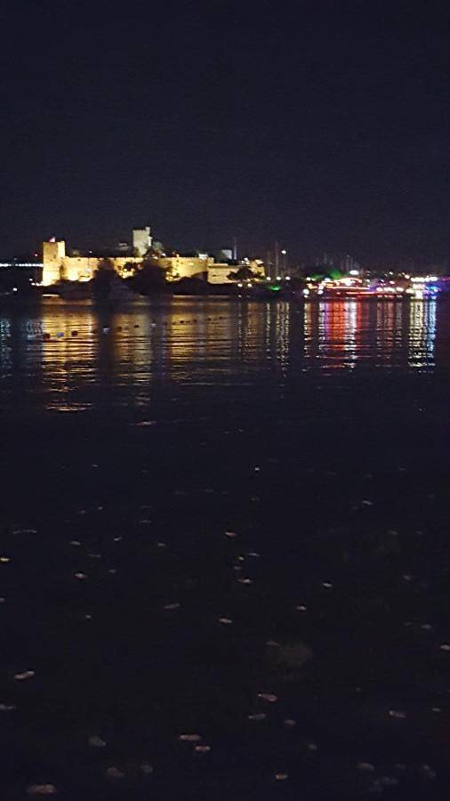 Maison d’hôte pour 3 personnes, avec terrasse et vue, animaux acceptés à Bodrum