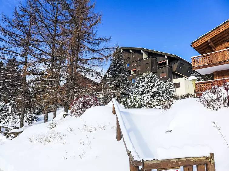 Ganze Wohnung, 1 Zimmer 2 Personen in Crans-Montana, Sion - Sierre & Umgebung