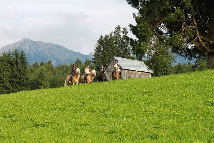 Ferienwohnung für 4 Personen, mit Balkon und Garten in den Allgäuer Alpen - 2