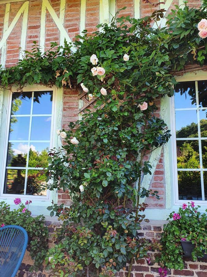 Chambre d’hôte pour 2 personnes, avec jardin et vue dans Parc naturel régional des Boucles de la Seine Normande - 3