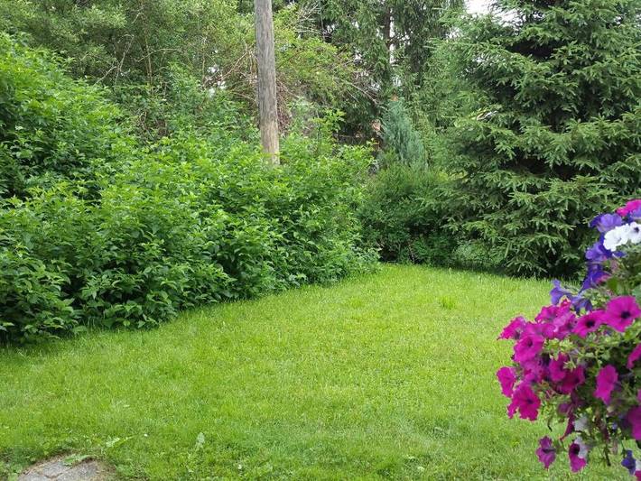 Ferienwohnung für 4 Personen, mit Garten und Sauna sowie Terrasse, kinderfreundlich in Nesselwang - 4