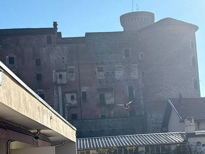 Gîte pour 6 personnes, avec balcon et vue à Ivrea (Italie) - 4