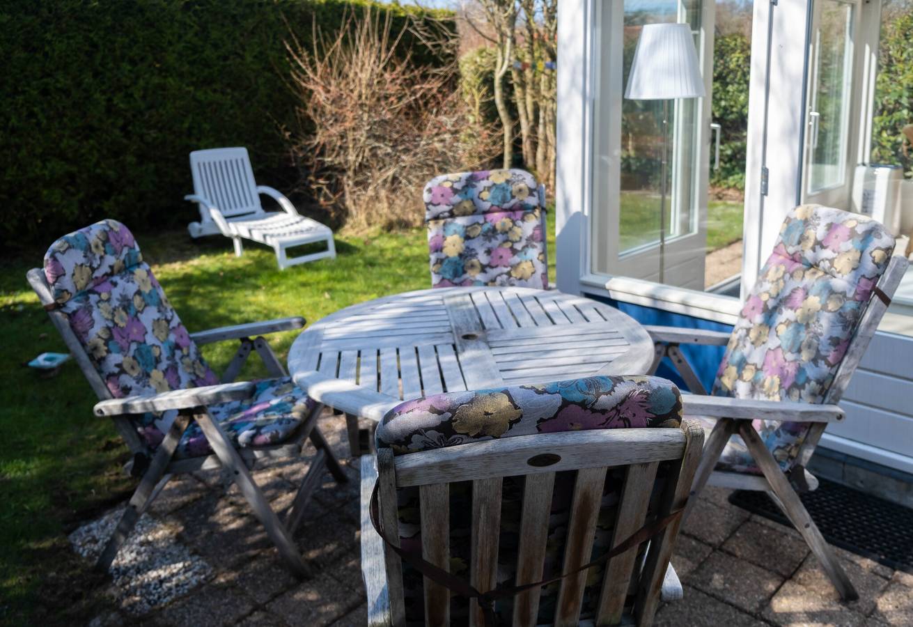 Holidayservice-egmond.nl — Zeemeeuw in Egmond aan den Hoef, Noord-Holland - Nordseeküste