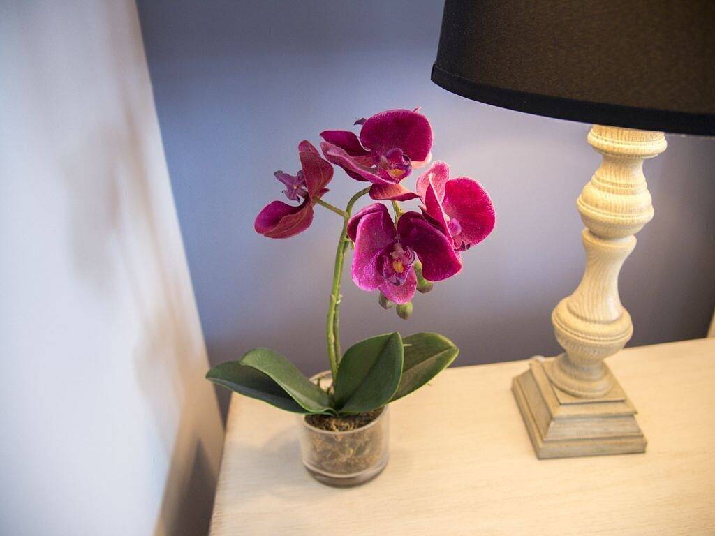 Spectacular Indigo Reef Waterfront Home #41 - Marathon, Florida in Marathon, Monroe County