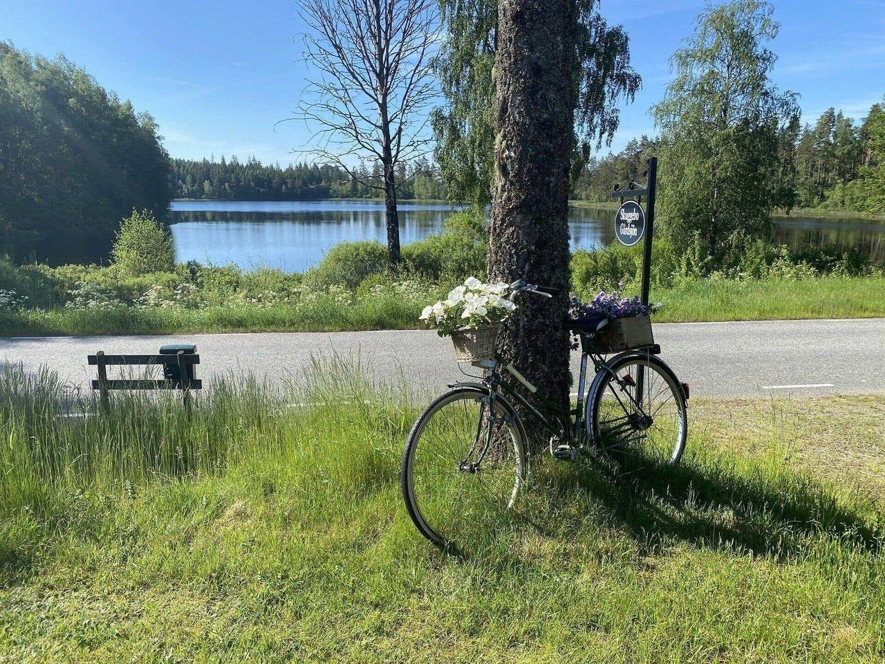 Jon557 Stockaryd - Skuggebo 3 in Ruskensee