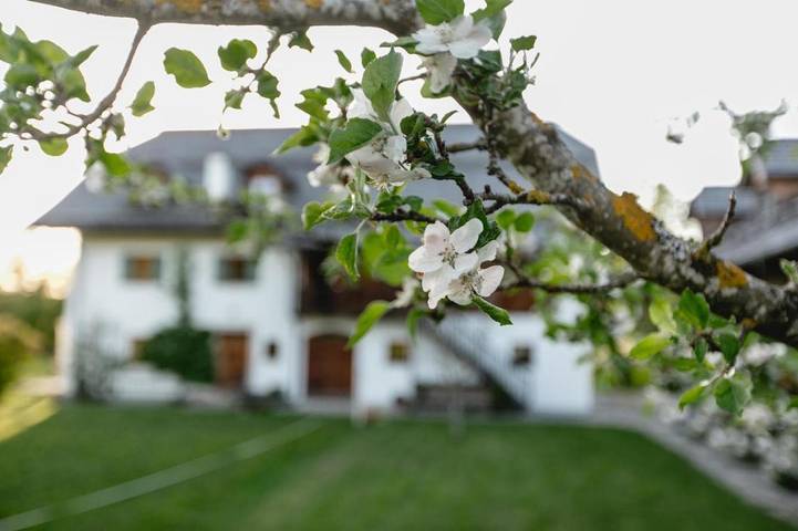 Gîte pour 6 personnes, avec sauna ainsi que terrasse et vue à Thalgau - 3