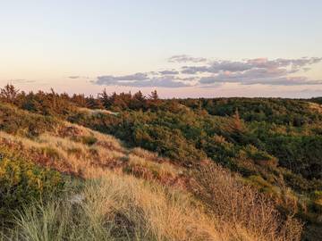 Ferienhaus für 6 Personen in Vejers Strand, Dänemark an der Nordsee, Bild 2