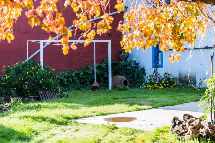 Casa rural para 6 personas, con Balcón y Terraza además de Jardín y Vistas en Casar de Palomero - 3