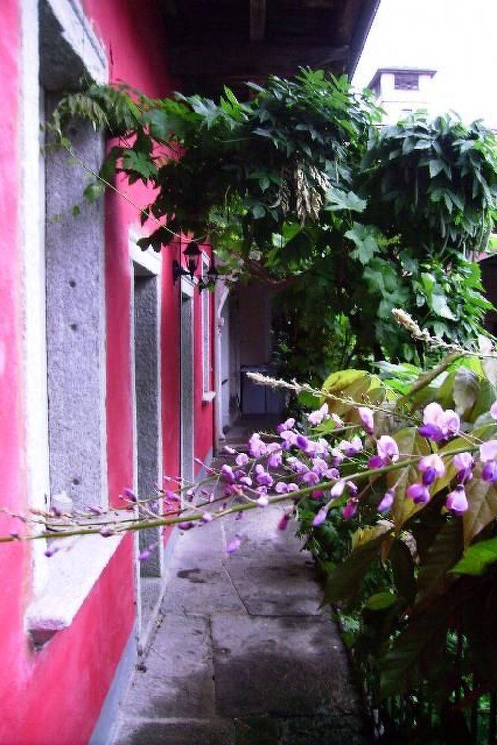 Appartamento intero, Wohnung 'Glicine' mit Wasserblick in Miasino, Comune di Miasino