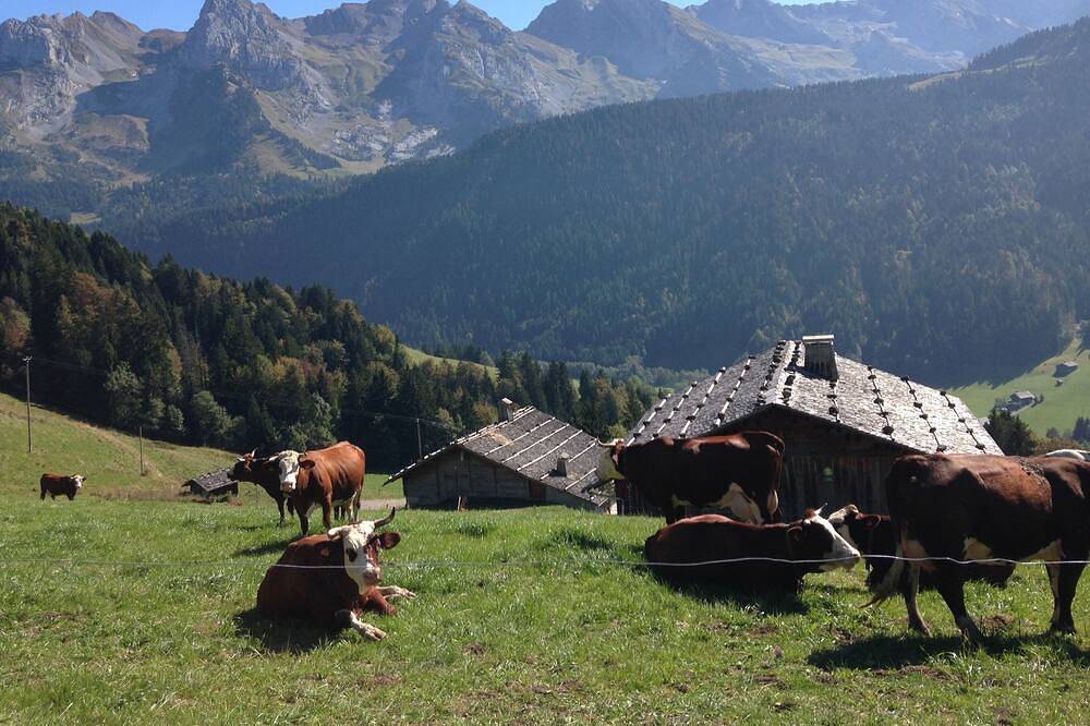 Alte Villa komplett renoviert. Südausrichtung. Panoramablick. in Le Grand-Bornand, Annecy und Umgebung