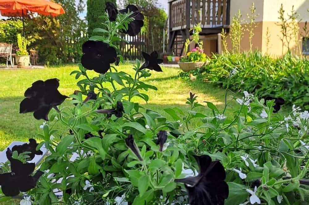Ganze Wohnung, Schöne Ferienwohnung mit Garten und Grill in Rathmannsdorf, Elbsandsteingebirge