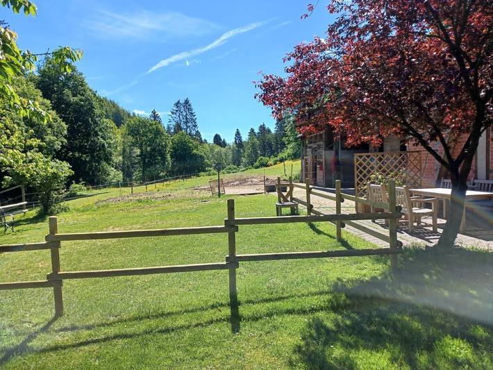 Ferienhaus für 10 Personen, mit Haustier in der Eifel - 4