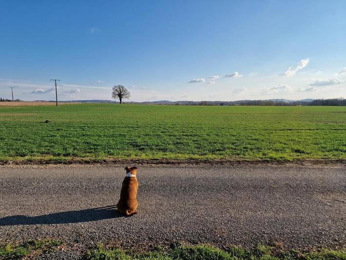 Location de vacances pour 9 personnes, avec vue et jardin, animaux acceptés à Monflanquin - 3