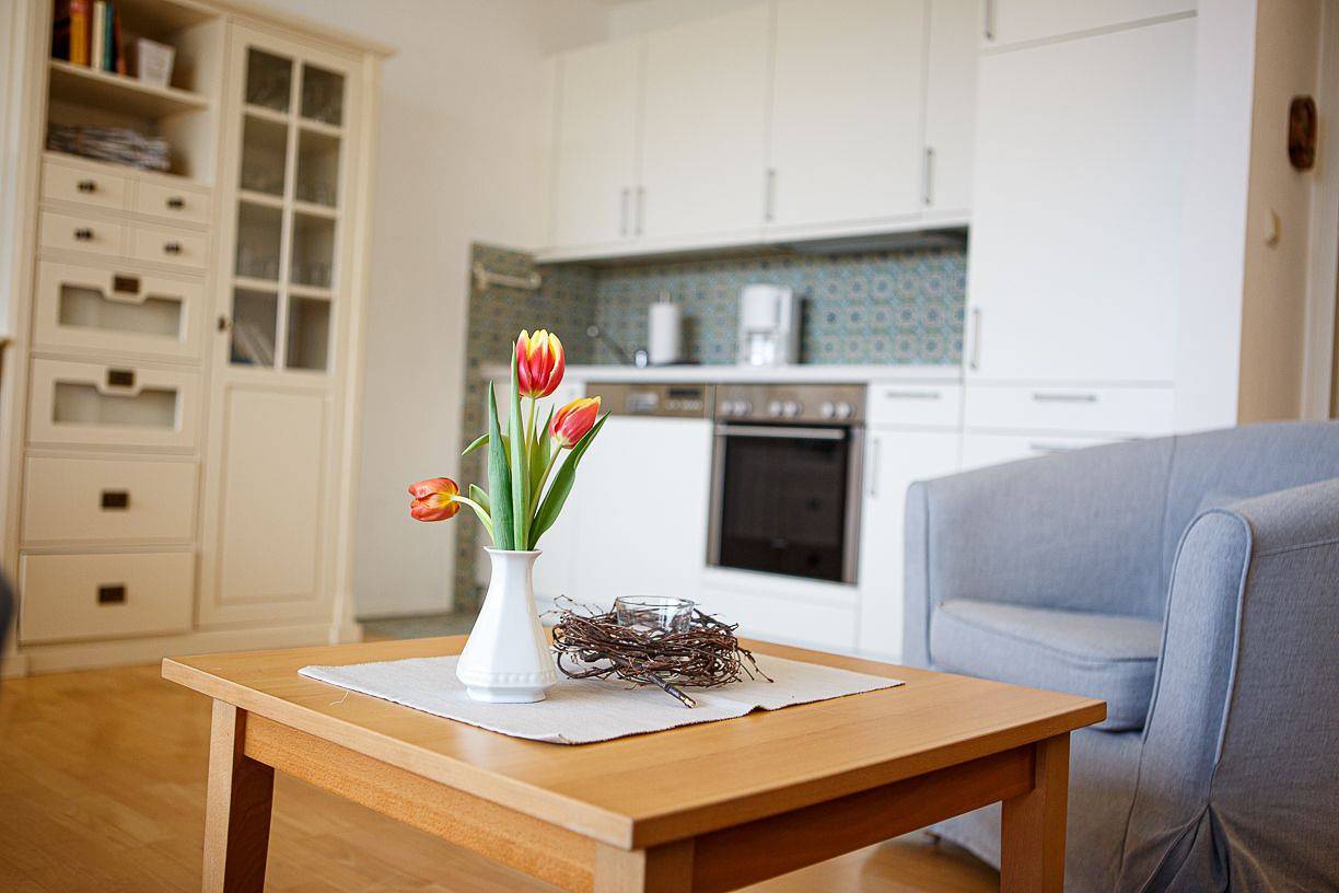 Ganze Wohnung, Hier erwartet Sie, mit weitem Südblick auf die Halligen, unser gemütliches Quartier! in Greveling, Wyk auf Föhr