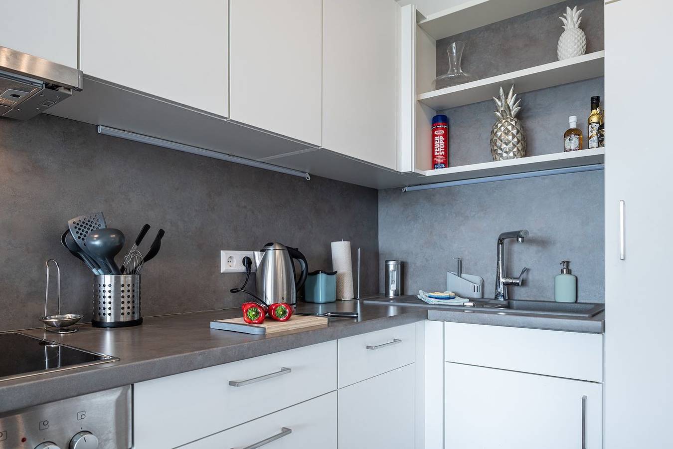 Ganze Wohnung, Ferienwohnung Seepanorama in Uhldingen-Mühlhofen mit Seeblick und Terrasse in Unteruhldingen, Uhldingen-Mühlhofen