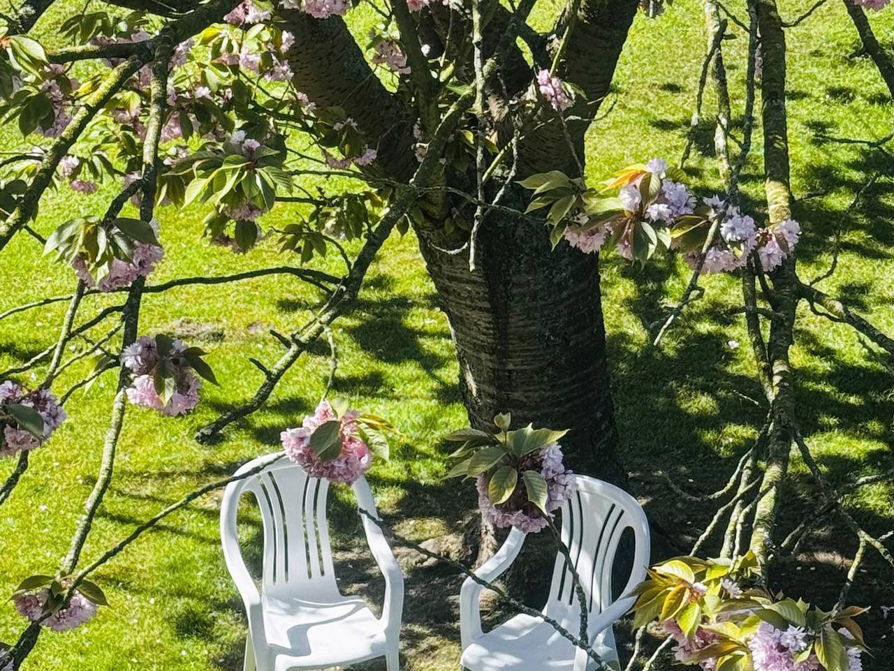 Ganze Ferienwohnung, Fewo 219 Nordsee- im Herzen von Voslapp - 219 Fewo Nordsee mit Außensitzplatz im Garten in Voslapp, Wilhelmshaven