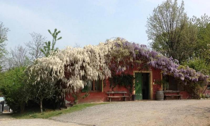 Chambre d’hôtes pour 4 personnes, avec Terrasse et Jardin à Novi Ligure