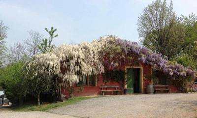 Chambre d’amis pour 4 personnes, avec jardin, animaux acceptés à Novi Ligure