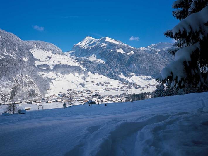 Ganze Ferienwohnung, Bär Annelies - Ferienwohnung Kanisfluh in Bregenzerwald (Vorarlberg), Au