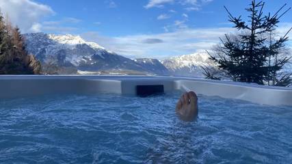 Ferienhaus für 10 Personen in Michaelerberg-Pruggern, Schladming-Dachstein, Bild 1