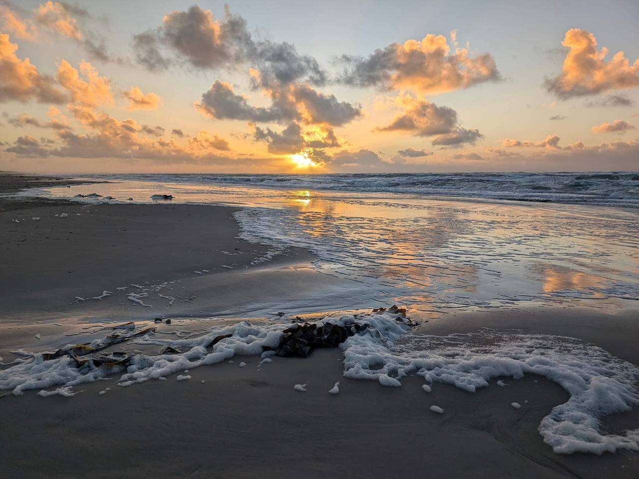 Luxus-Ruckzug in Strandnahe -- By Traum Ferienwohnungen in Blokhus, Jammerbugt