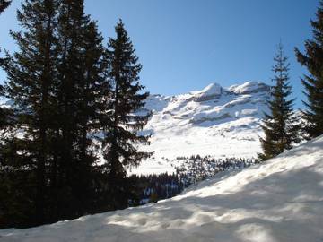 Chalet pour 4 Personnes dans Les Carroz, Grand Massif, Photo 1