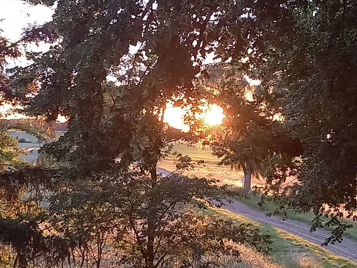 Ferienhaus für 5 Personen, mit Whirlpool und Terrasse sowie Garten, kinderfreundlich in Mecklenburgische Seenplatte - 4