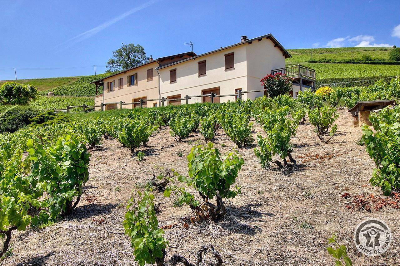 Gîte de l'Artisan-Vigneron in Fleurie, Région de Villefranche-sur-Saône